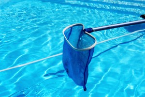 Types of Automatic Pool Cleaners