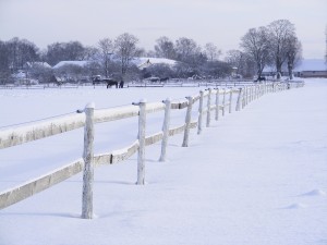 snow on pool cover