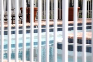 Protect Your Pets with a Pool Fence