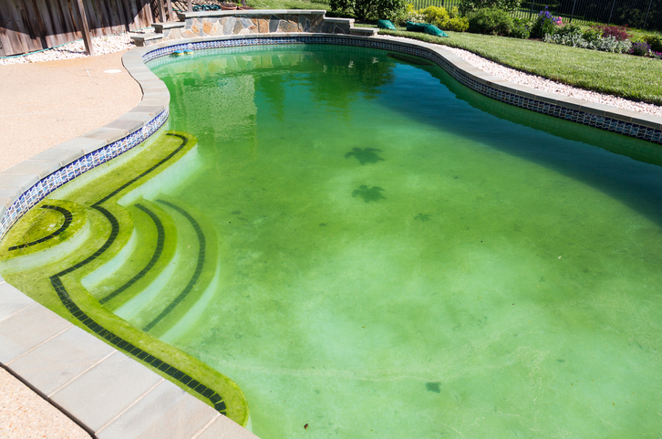 pollen swimming pools cleaning