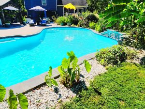 Sunrise Pools Custom Swimming Pool Installation